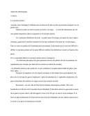 Migration Et Interculturalité