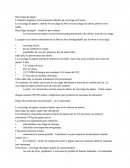 Recyclage du papier