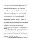 Étude D'impact Environnemental (EIE)