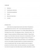 Dossier De Stage: l'enseigne Cache Cache