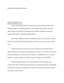Resume rapport de stage Somesakabarstephane