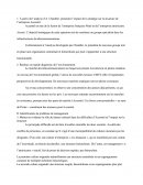 Impact de la stratégie sur la structure de l’entreprise Accentel