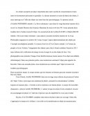 Synthèse Sur Les Objets Et La Société De Consommation