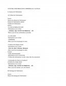 Systeme d'information commerciale Аuchan