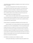Objets et societe de consommation