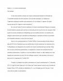 Le Conseil Constitutionnel