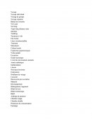 Vocabulaire Anglais