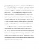 Étude d'un document en espagnol sur les droits de l'homme