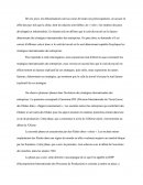 Ses-dissertation-les Stratégies Des Entreprises