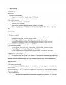 Rapport ARCHEOM