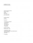 Rapport De Stage-veterinaire