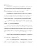 Projet De Constellium
