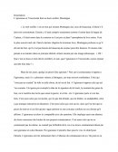 Introduction d'une Dissertation sur une phrase de Montaigne "L’ignorance et l’incuriosité font un doux oreiller"