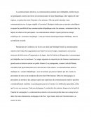 Communication intuitive ou communication avec les animaux par télépathie