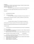 Aspects positifs de la mondialisation