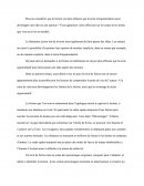 Dissertation: Peut-on Considérer Que La Fiction Soit Plus Efficace Que Le Texte D'argumentation Pour développer Une Idée Ou Une Opinion ?