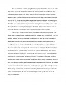 Argumentation: que ferons-nous s'il nous restait qu'une journée à vivre? (document en anglais)