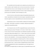 Dissertation: L’évolution jurisprudentielle de la notion de responsabilité des pères et mères apporte-t-elle une certaine stabilité ?