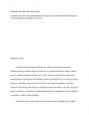Le droit de vote des étrangers en France aux élections municipales