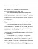 Le Principe De Précaution
