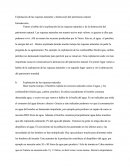 Exploitation des richesses naturelles et destruction du patrimoine naturel (document en espagnol)