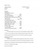 Rapport De Stage En Entreprise