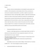 Analyse externe de la marque Loïc Raison (document еn Espagnol)