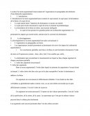 Rapport sur l'organisation en paragraphes d'éléments du processus d'argumentation