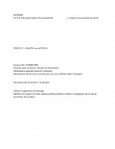 CCF de Prévention Santé et Environnement: L’analyse d’un accident du travail