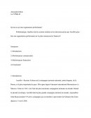 Quelles sont les actions réalisées et les décisions prises par Aeroflot pour être une organisation performante sur le plan commercial et financier