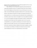 Pourquoi Apprendre