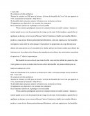 Rapport de coca cola