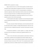 Dissertation: La Propriété Et Le Voisinage