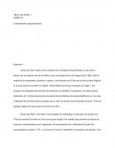 Comportement Organisationnel