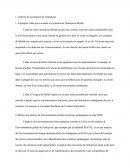 Analyse de la situation de l'entreprise Myfab