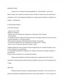 Le Radeau De La méduse