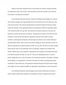 Management Essay - External Environment