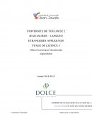 Rapport de Stage