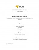Travail de session - Gestion des compétence I - UQO