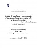 Les liens de causalité entre la consommation d’énergies nucléaire et renouvelables et la croissance économique