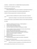 Comportement organisationnel (CO)