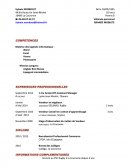 Curriculum vitae