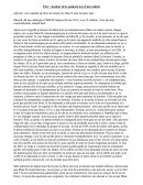 Analyse de pratique ide