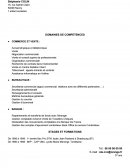 CV administratif et commercial