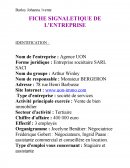 Rapport de stage