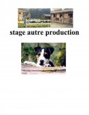 Rapport de stage autre production diférence entre une production canine et équine