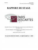 Rapport de stage Assistante sociale