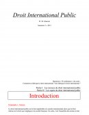 Cours Droit L3 Droit international Public