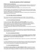 Introduction au droit constitutionnel