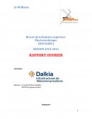 Rapport ouvrier BTS ELEC